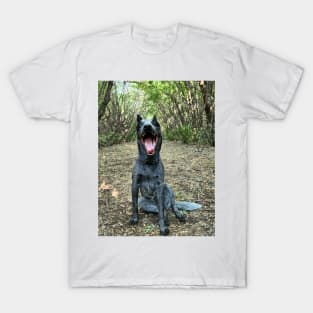 Yawning Dog T-Shirt